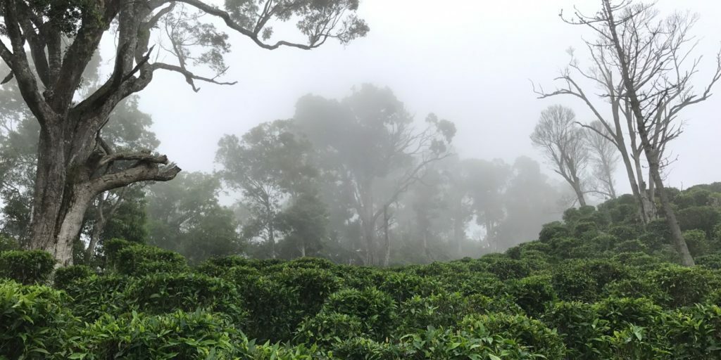 網站設計_190523_0265-1024×768